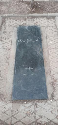 عکس مقبره نجف دریابندری 