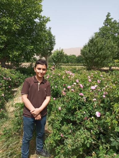 عکس علوی