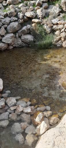 عکس باغ کلک