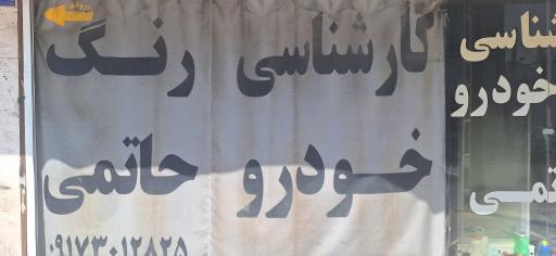 عکس کارشناسی و تشخیص رنگ حاتمی 