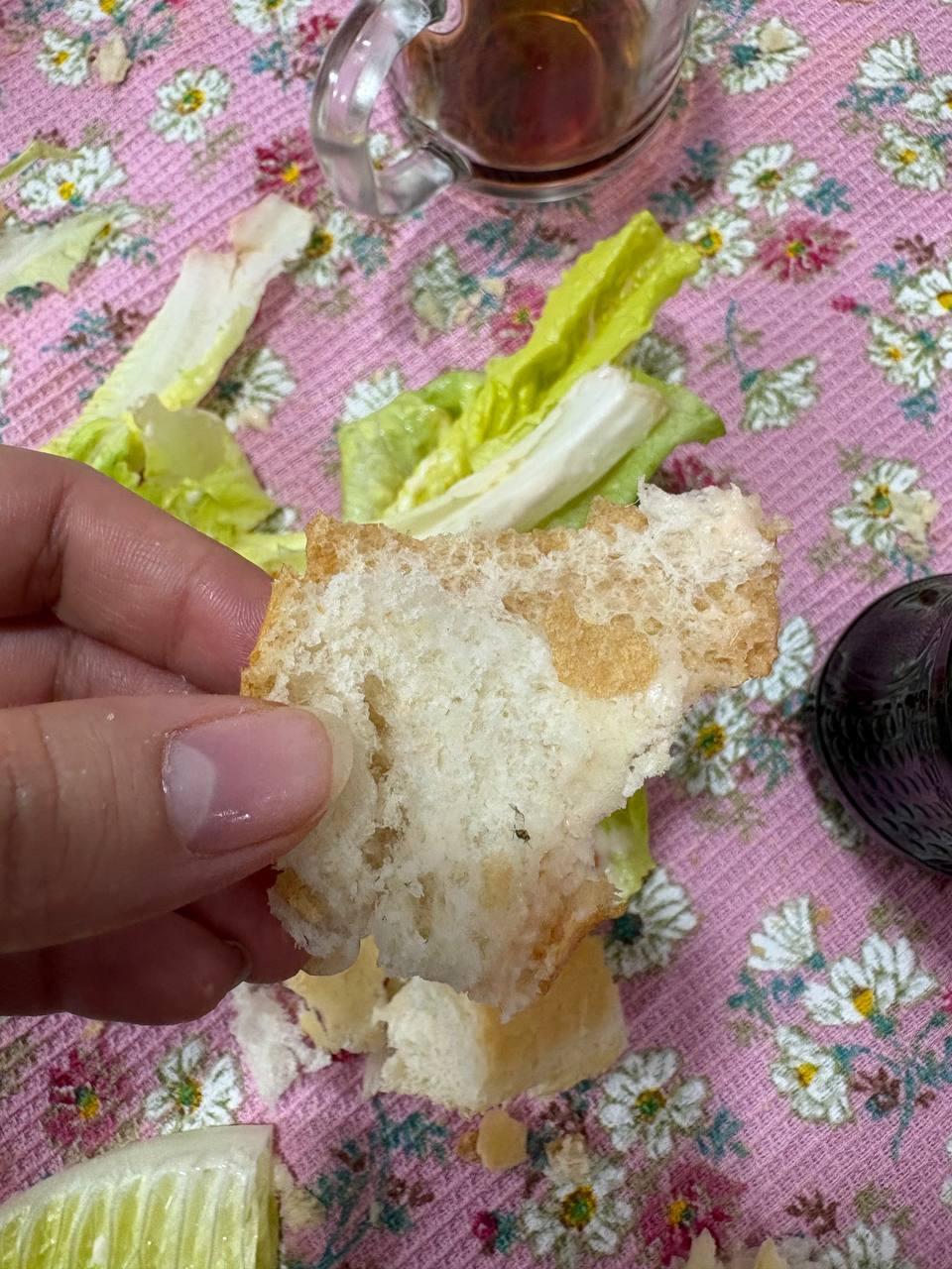 عکس ساندویچ هایدا شعبه صادقیه