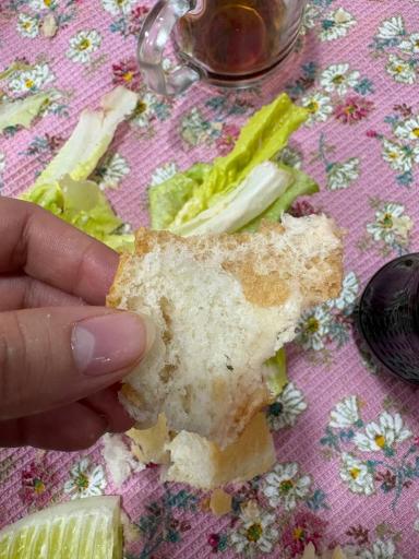 عکس ساندویچ هایدا