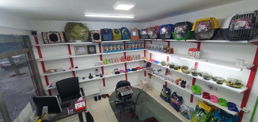 پت شاپ یکتا