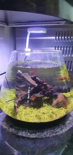 عکس پت شاپ یکتا