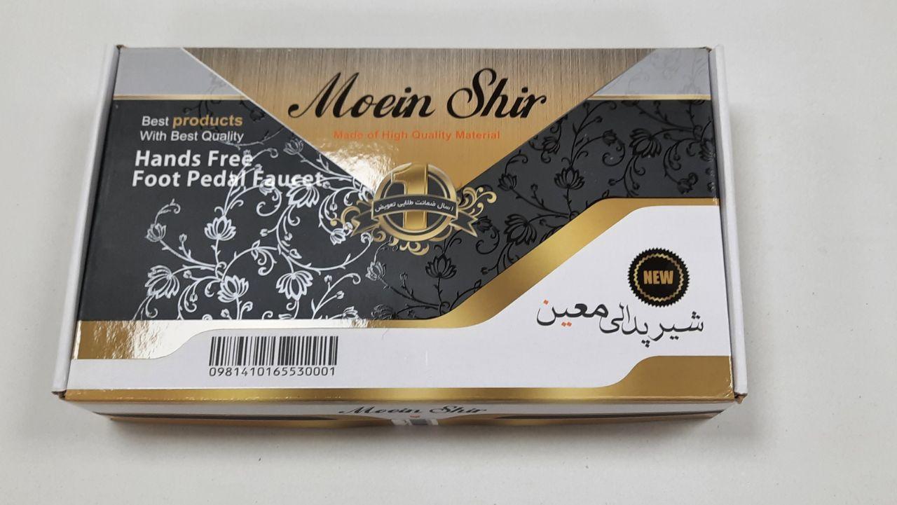 عکس شیر پدالی معین 