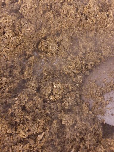 عکس سبزیجات چی گل