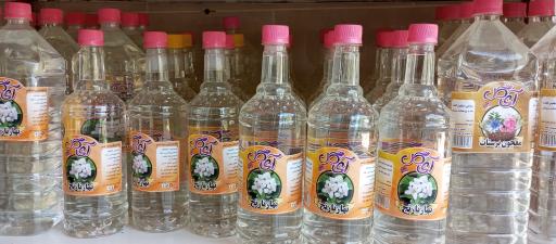 عکس گلابگیری سنتی آی گل