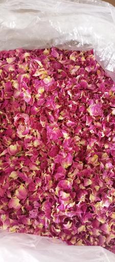 عکس گلابگیری سنتی آی گل