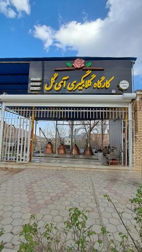 عکس گلابگیری سنتی آی گل