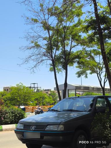 عکس  ابتدای شهید میرزایی