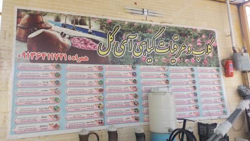 عکس گلابگیری سنتی آی گل