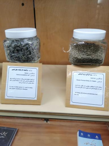 عکس آرامگاه بوعلی سینا