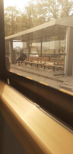 عکس  ابتدای شهید میرزایی