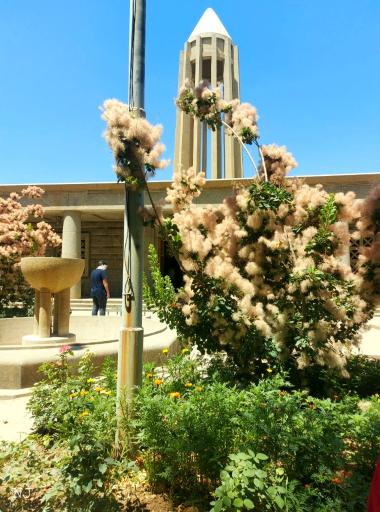 عکس آرامگاه بوعلی سینا