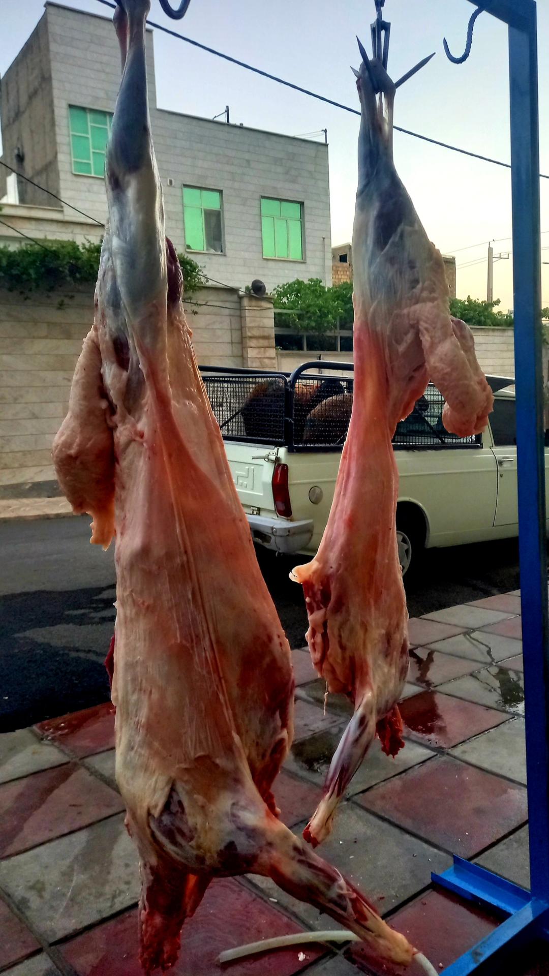 عکس سوپر گوشت اشترانکوه