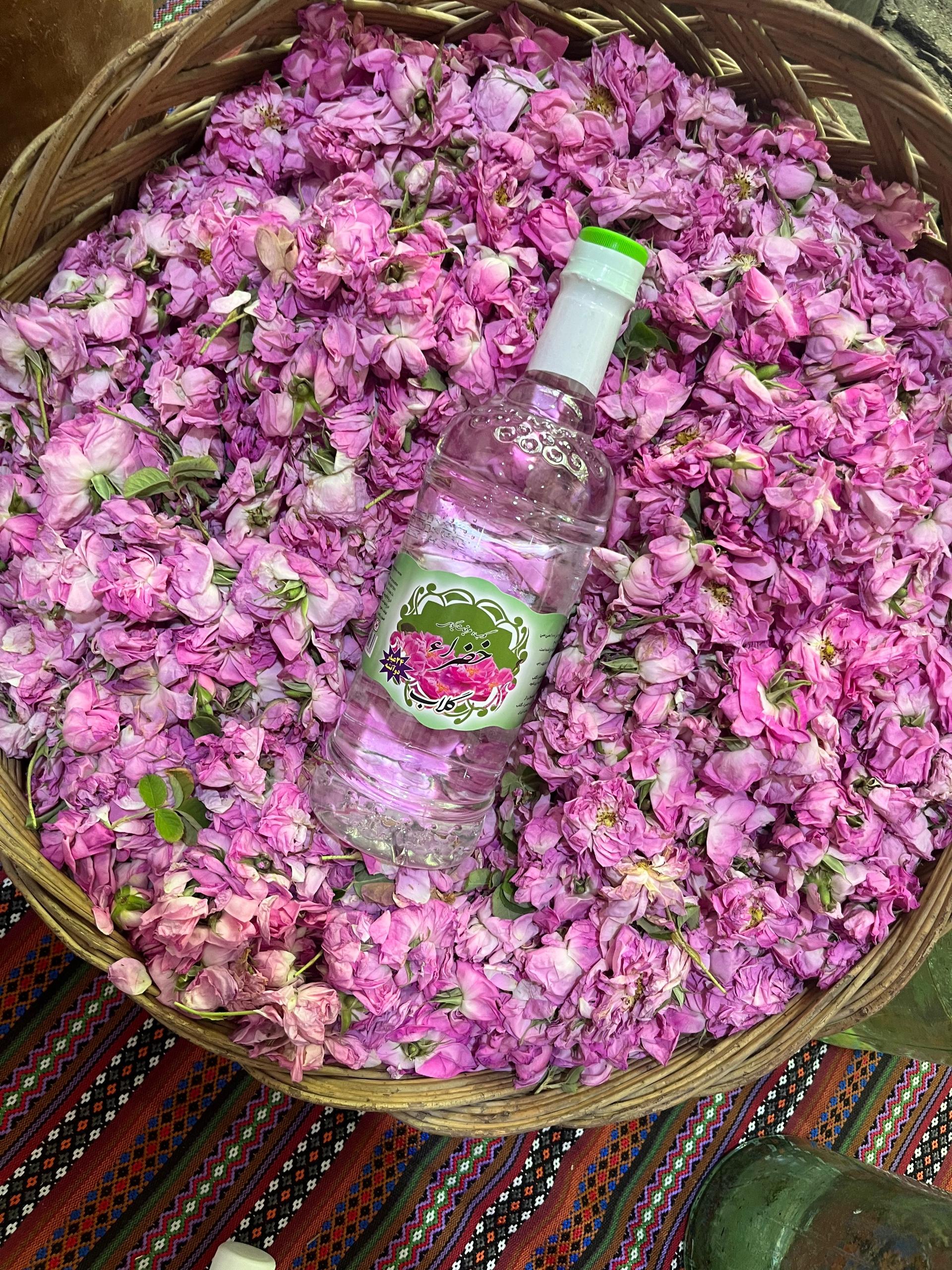 عکس خضراء گلاب