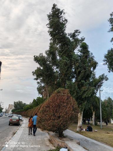 عکس پارک فرمانداري