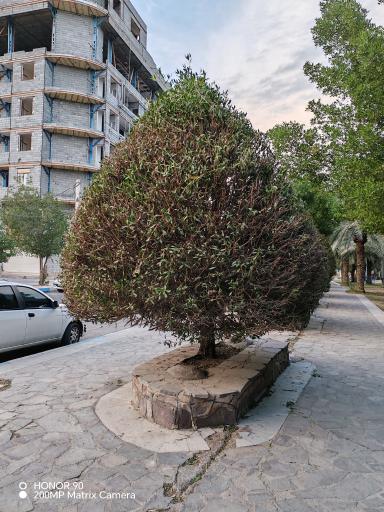 عکس پارک فرمانداري