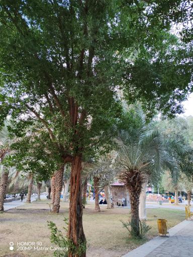 عکس پارک فرمانداري