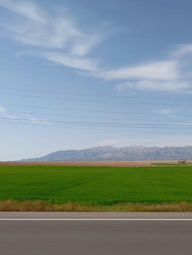 عکس تربت جام