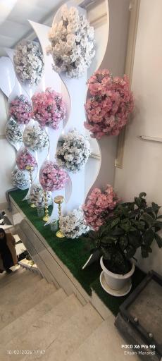عکس تالار عقد و جشن آیما