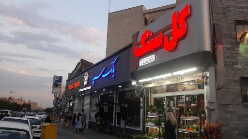 عکس گل فروشی گلسنگ