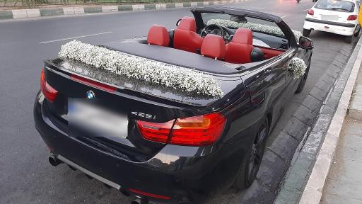 عکس گل فروشی گلسنگ