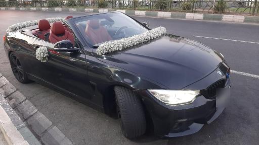 عکس گل فروشی گلسنگ