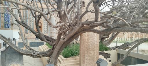 عکس تربت جام