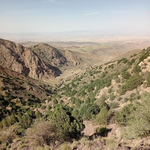 عکس تربت جام