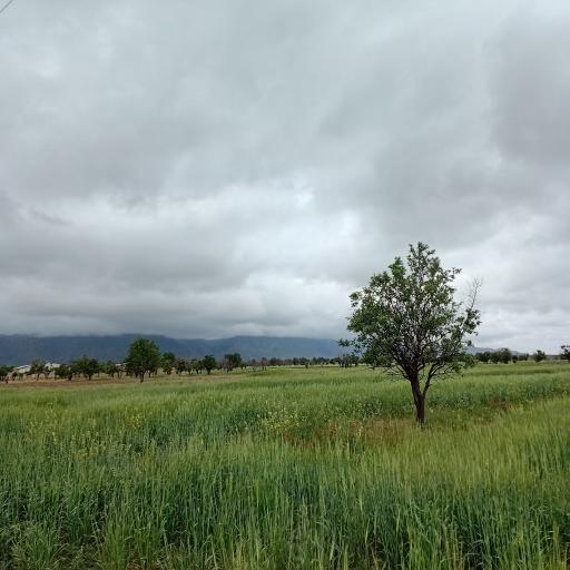 عکس تربت جام