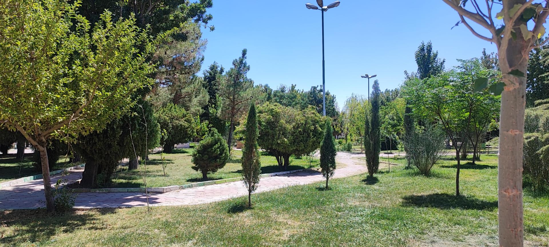 عکس پارک ملت