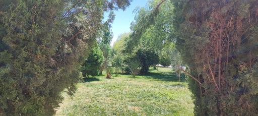 عکس پارک ملت