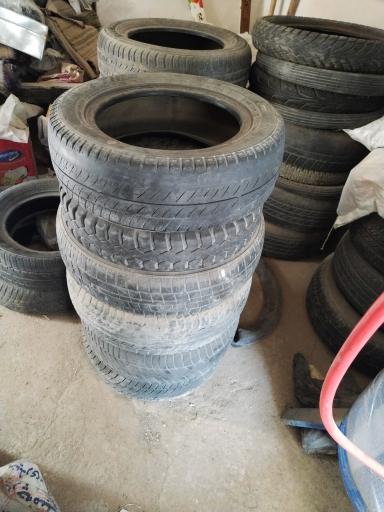 عکس اتولاستیک تیک آف