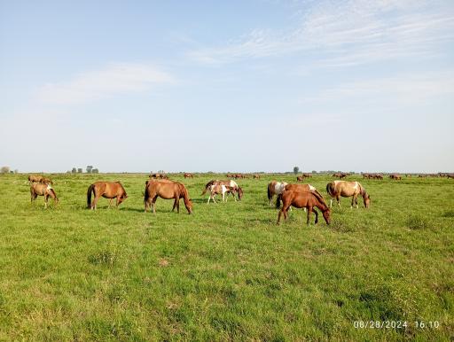 عکس پناهگاه حیات وحش سرخانکل