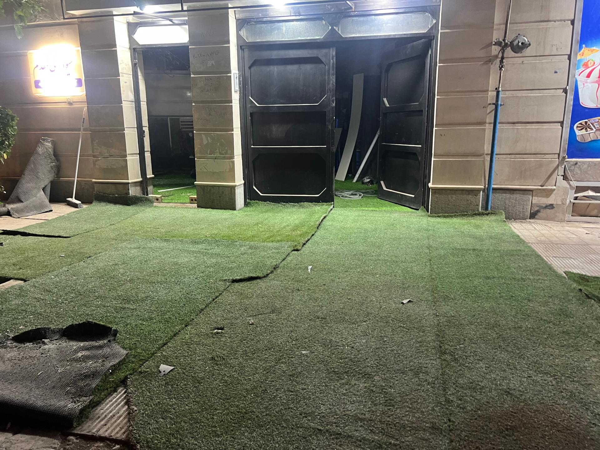 عکس چشم‌ انداز گل گلدون چمن مصنوعی