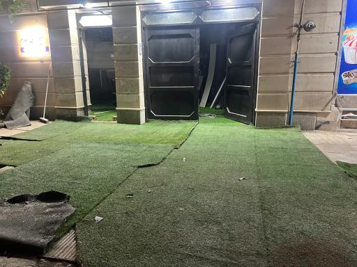 عکس چشم‌ انداز گل گلدون چمن مصنوعی