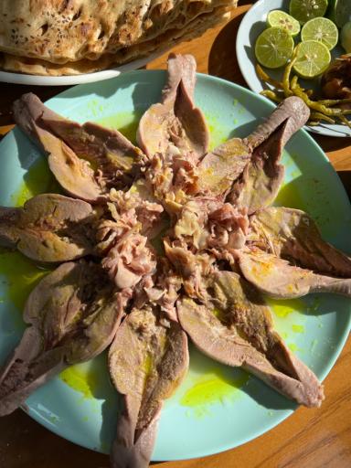 طباخی صبا مرزداران