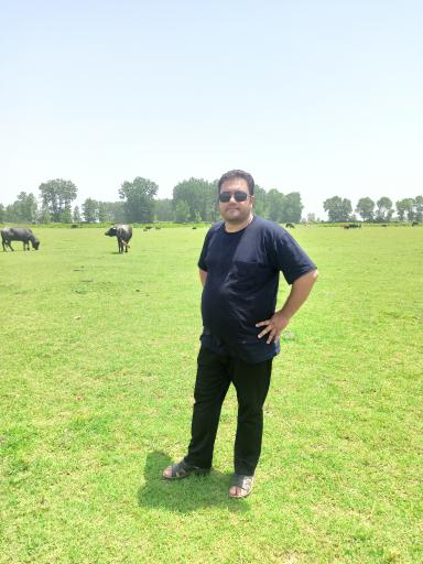 عکس پناهگاه حیات وحش سرخانکل