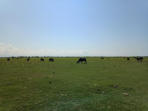 عکس پناهگاه حیات وحش سرخانکل