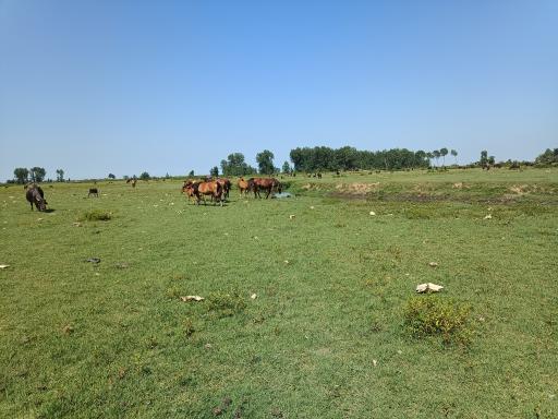 عکس پناهگاه حیات وحش سرخانکل