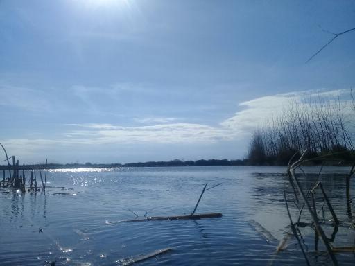 عکس پناهگاه حیات وحش سرخانکل