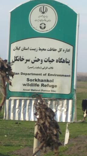 عکس پناهگاه حیات وحش سرخانکل