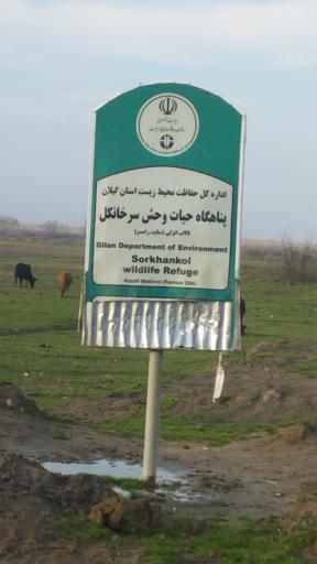 عکس پناهگاه حیات وحش سرخانکل