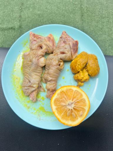 عکس طباخی صبا مرزداران