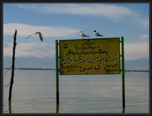 عکس پناهگاه حیات وحش سرخانکل