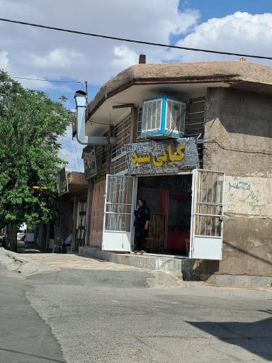 عکس کبابی سید