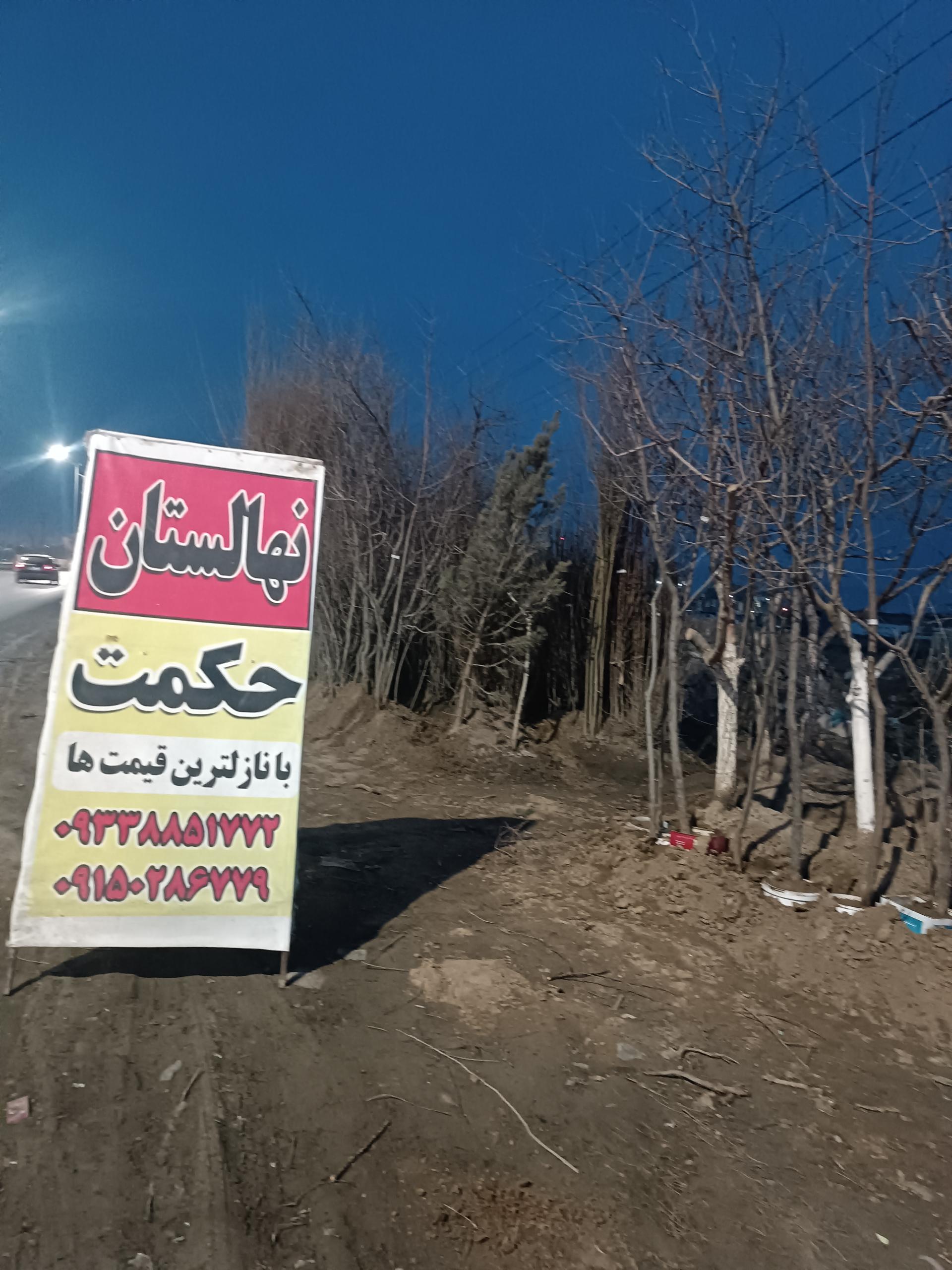 عکس نهالستان حکمت