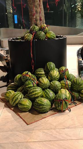 عکس کافه رستوران کف شیشه ای بام رویایی پدیده