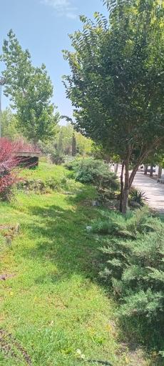 عکس بوستان نبوت